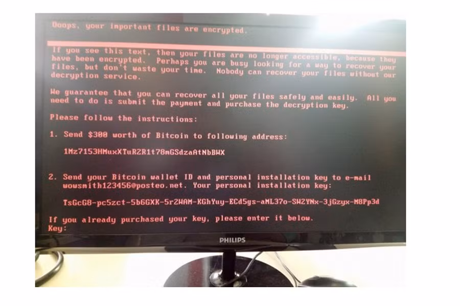 Điểm mặt danh mục email mà mã độc Petya nhắm đến ảnh 1