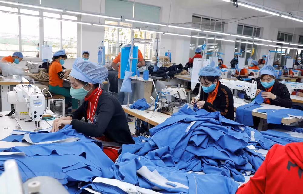 Hướng tới những cơ hội hợp tác mới cho doanh nghiệp Việt Nam-Brazil ảnh 2