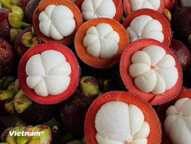Dịch Vụ Vận Chuyển Măng Cụt Từ Bình Dương Đi Các Tỉnh – Nhanh Chóng, An Toàn, Giá Tốt