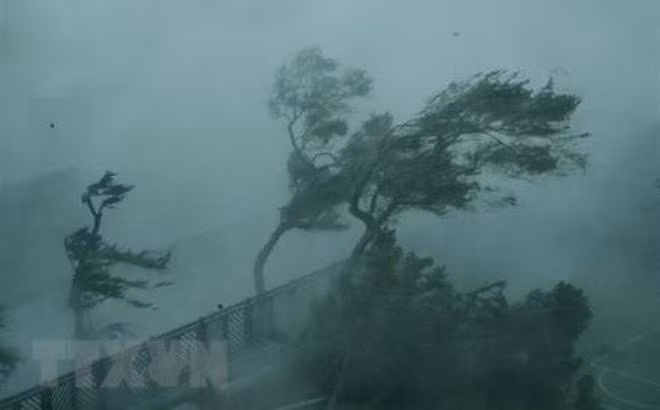 Tiền Giang: Các huyện ven biển Gò Công đang mưa rất to ảnh 1