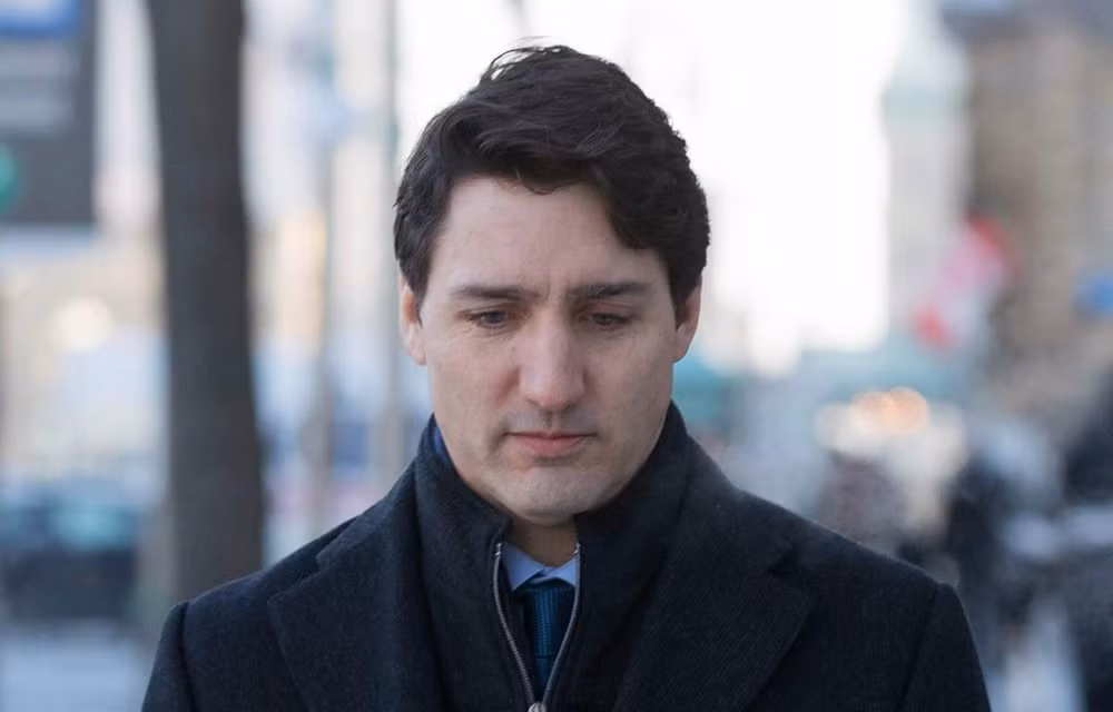 Thủ tướng Canada Justin Trudeau bị giảm tín nhiệm trước bầu cử ảnh 1