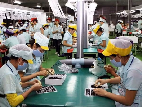 Việt Nam đã có bước tiến dài trong lĩnh vực bình đẳng giới ảnh 2