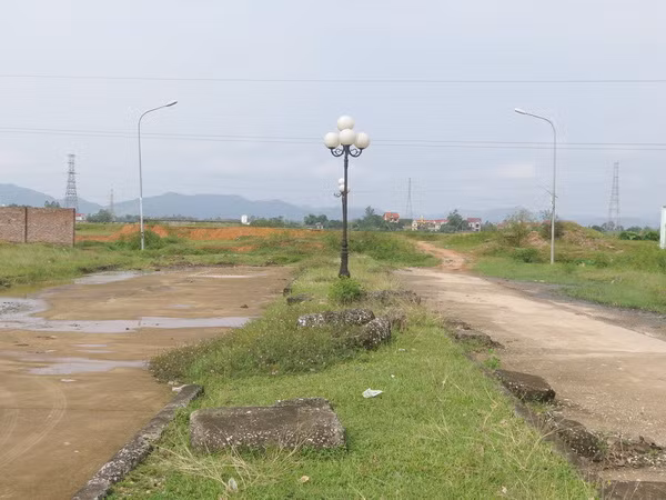 Thanh tra Chính phủ yêu cầu xử lý các sai phạm đất đai tại Cần Thơ ảnh 1