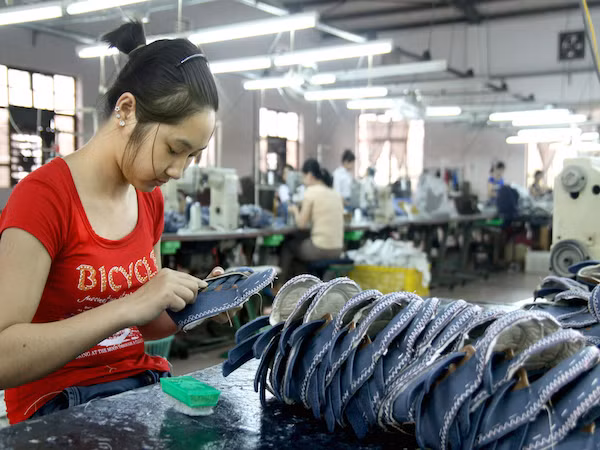 Doanh nghiệp phàn nàn thủ tục thuế, hải quan nửa vời, máy móc ảnh 1