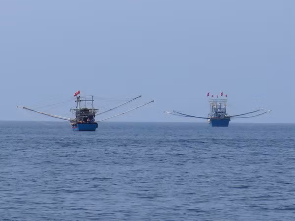 Tăng cường điều tra cơ bản tài nguyên, môi trường biển và hải đảo ảnh 1