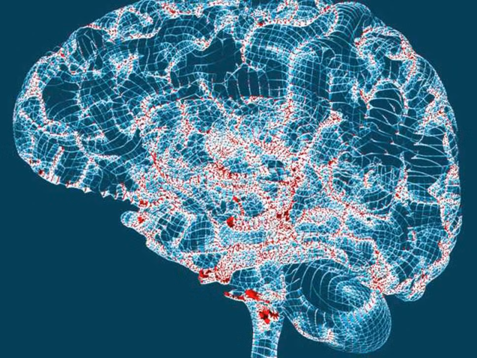 Xét nghiệm máu để chẩn đoán sớm dấu hiệu của bệnh Alzheimer ảnh 1