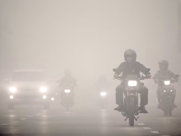 Indonesia công bố các doanh nghiệp tình nghi liên quan cháy rừng ảnh 1