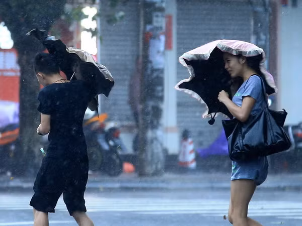 Bão Sơn Tinh đã tràn vào đảo Hải Nam của Trung Quốc ảnh 1