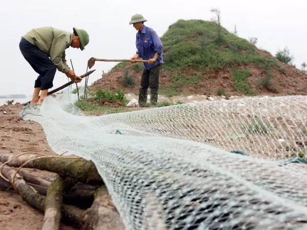 Phó Thủ tướng chỉ đạo theo dõi chặt diễn biến bão số 3 ảnh 1
