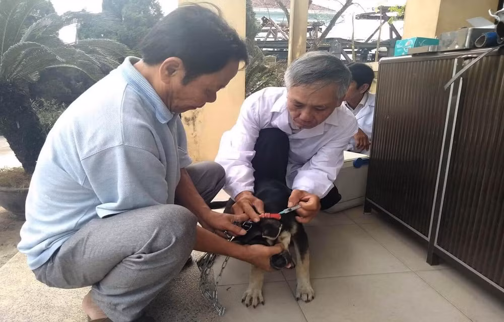 Phú Thọ: Phát hiện 2 ổ dịch bệnh dại trên người ở huyện Tân Sơn ảnh 1
