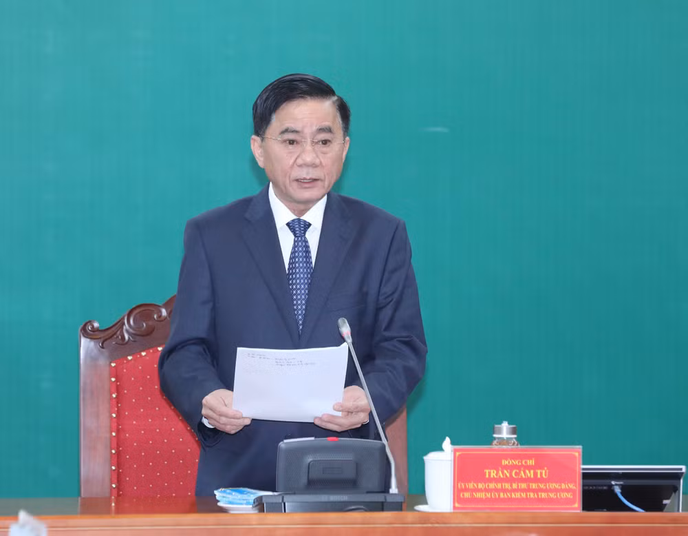 Thực hiện tốt kiểm tra Đảng trong cơ quan đại diện VN ở nước ngoài ảnh 3