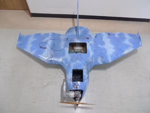 Chuyên gia nhận định về năng lực đánh chặn UAV của Trung Quốc ảnh 1