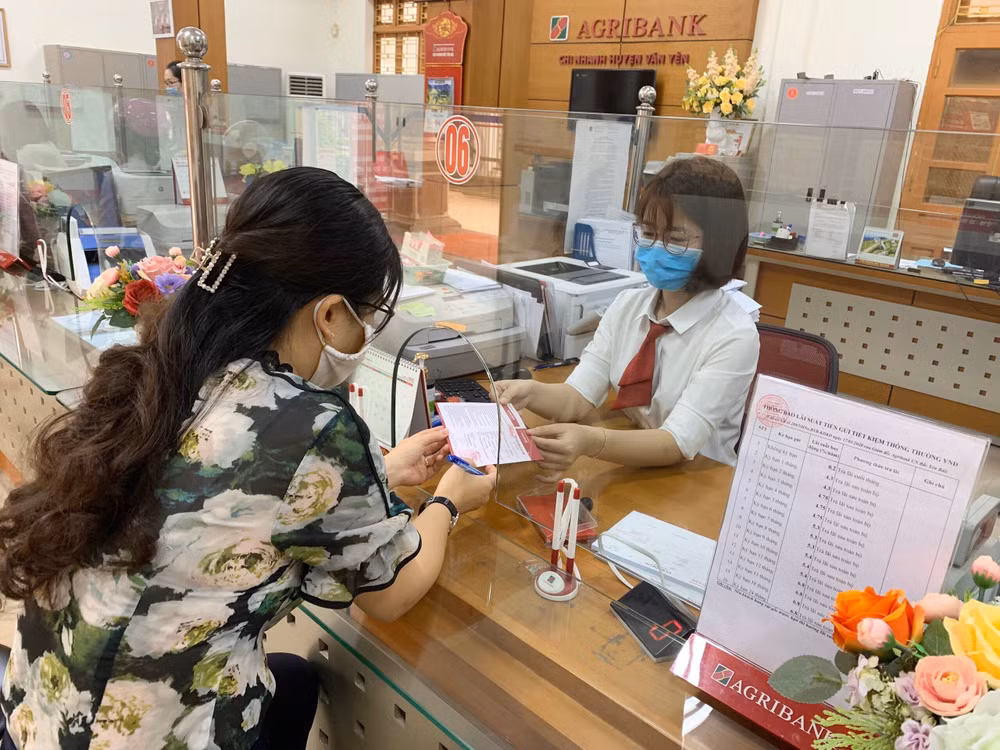 Kỳ họp thứ 9: Đa số đại biểu ủng hộ bổ sung vốn điều lệ cho Agribank ảnh 1
