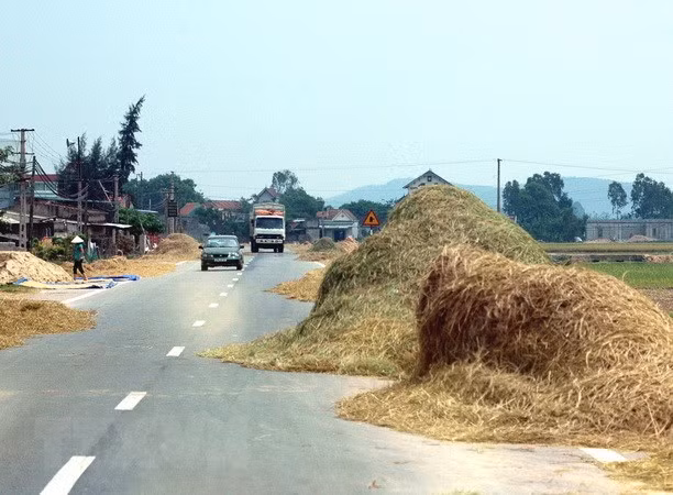 Xử lý nghiêm vi phạm dùng lòng đường trái phép để phơi nông sản ảnh 1