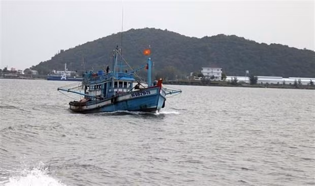 Bước tiến mới để gỡ "thẻ vàng" của EC trong khai thác thủy sản ảnh 1