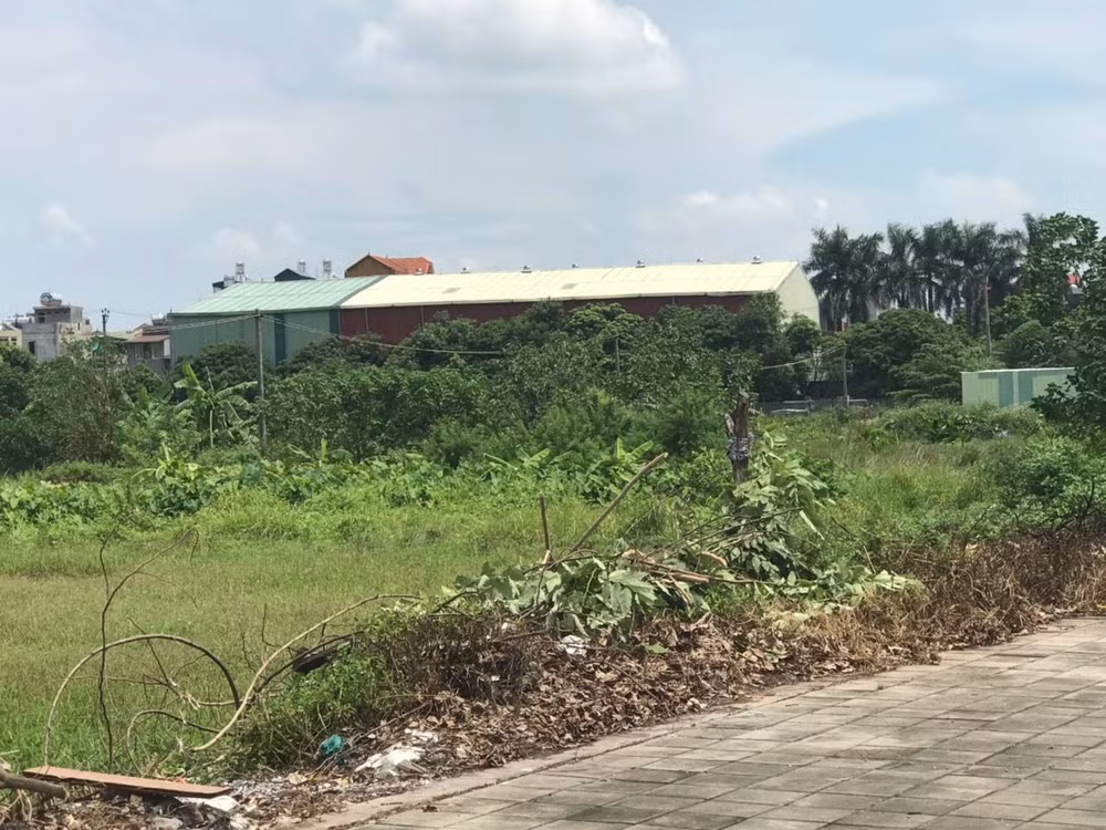 Xử lý dứt điểm sai phạm trong quản lý, sử dụng đất đai ở Long Biên ảnh 1