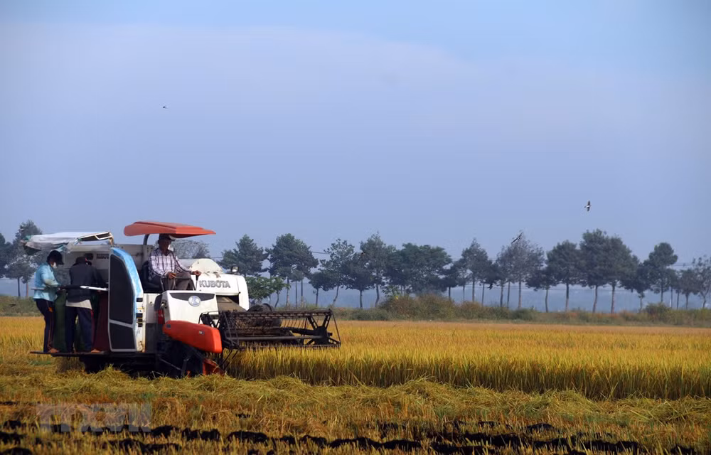Đối thoại QG lần thứ nhất về hệ thống lương thực thực phẩm Việt Nam ảnh 1