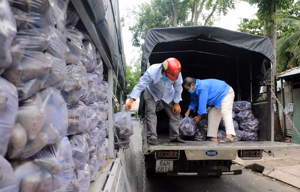 Tiêu thụ nông sản: Phối hợp giải quyết vướng mắc trong vận tải biển ảnh 1