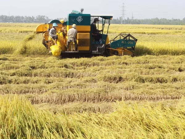 Năm 2017: Ngành nông nghiệp lo khí hậu bất thường, nông sản gặp khó ảnh 1