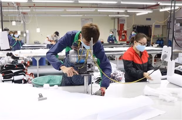 Hỗ trợ doanh nghiệp tận dụng EVFTA xuất khẩu sang Hà Lan ảnh 1