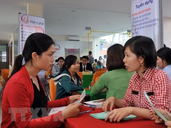 Vui buồn chuyện sinh viên tìm việc làm thêm trong dịp Hè ảnh 1