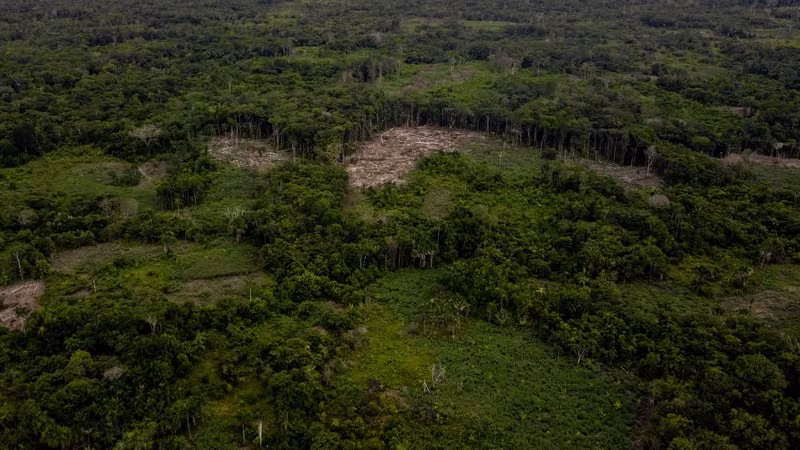Vụ tai nạn máy bay ở Colombia: Bốn trẻ em sống sót thần kỳ sau 17 ngày ảnh 1