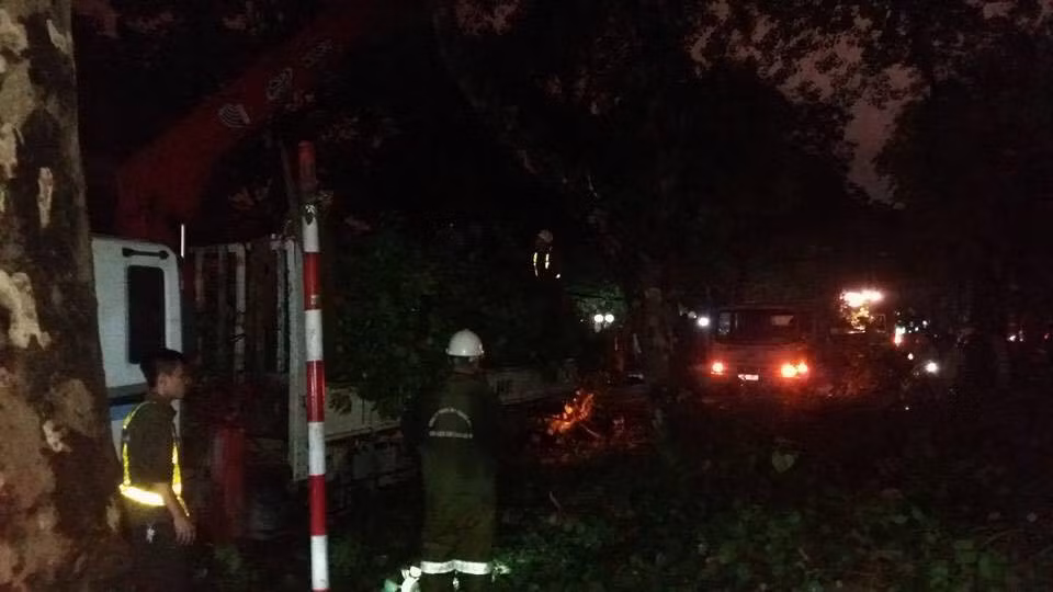 Hà Nội: Cây cổ thụ đổ trúng người sau trận mưa "giải hạn" ảnh 1