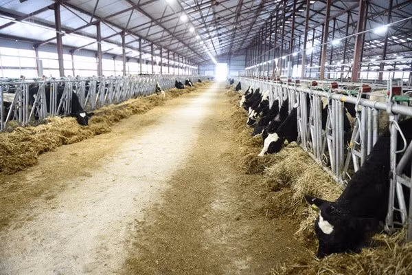 Làm sâu sắc hơn nữa quan hệ Đối tác chiến lược toàn diện Việt Nam-Nga ảnh 2