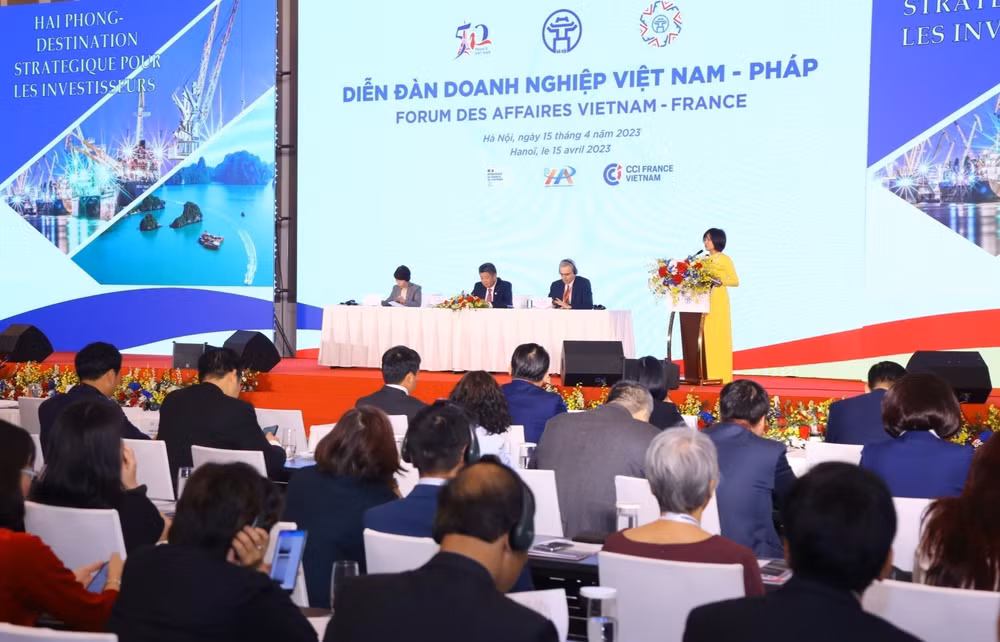 Diễn đàn doanh nghiệp và hội nghị hợp tác địa phương Việt Nam-Pháp ảnh 1