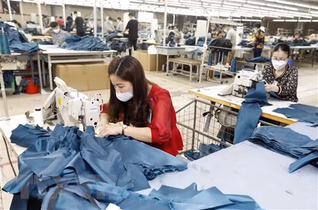 IMF: Việt Nam là một trong những điểm sáng của kinh tế thế giới ảnh 1