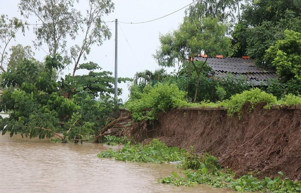 An Giang di dời khẩn cấp nhà dân trong vùng có nguy cơ sạt lở | Vietnam+ (VietnamPlus)