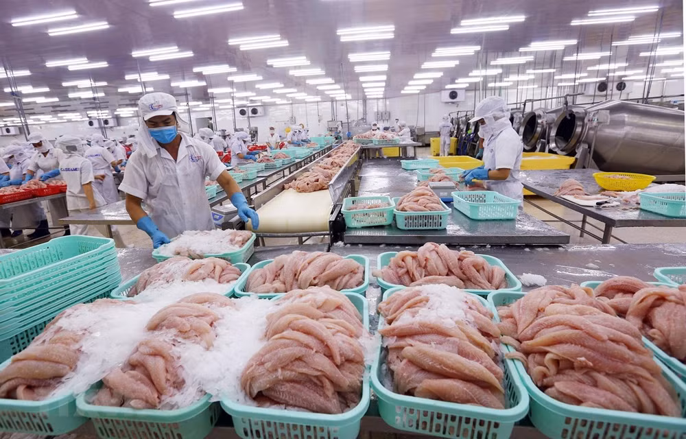 Doanh nghiệp phải làm gì để ưng phó với rủi ro từ phòng vệ thương mại? ảnh 3