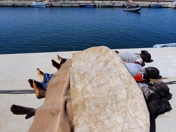 Chìm tàu ngoài khơi Libya, hàng chục người chết và mất tích ảnh 1