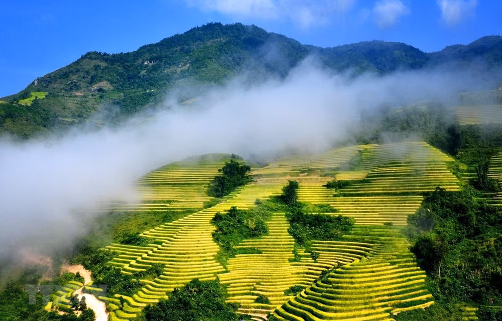 Khai mạc Tuần Văn hóa Du lịch chào mừng 120 năm du lịch Sa Pa ảnh 1