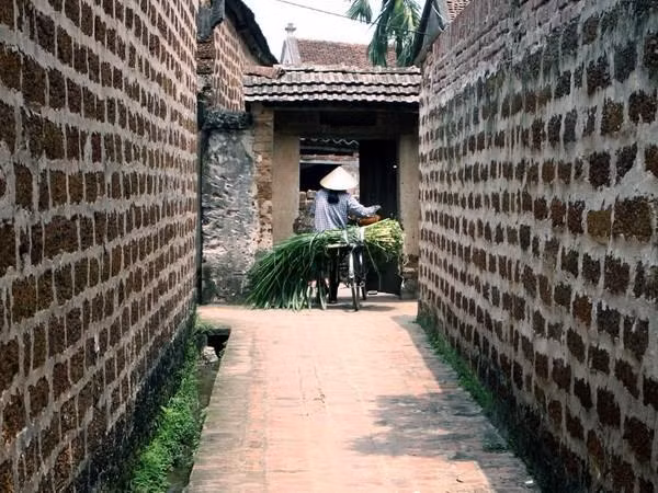Khai thác du lịch nông nghiệp - dòng sản phẩm chủ đạo của Việt Nam ảnh 1