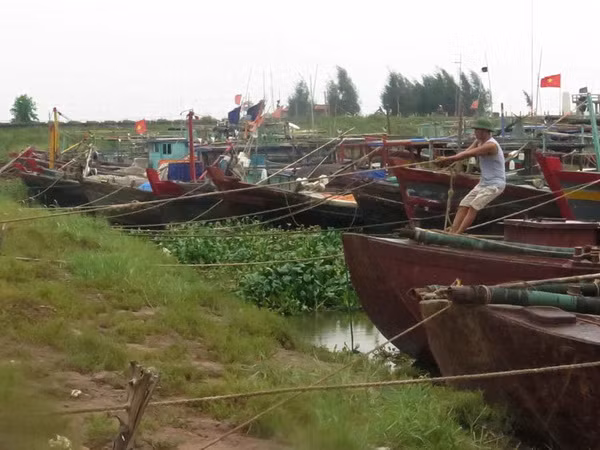 Các địa phương khẩn trương thực hiện phòng chống bão số 3 ảnh 1