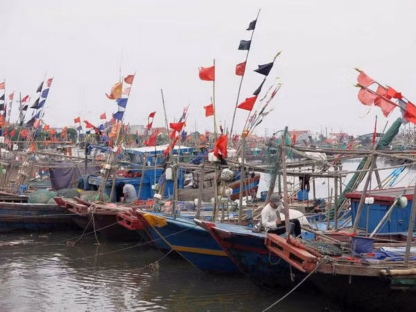 Quảng Ninh khẩn cấp di dân, Móng Cái mất điện trên diện rộng ảnh 1