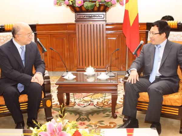 Đề nghị IAEA tiếp tục dành ưu tiên, hỗ trợ Việt Nam ảnh 1