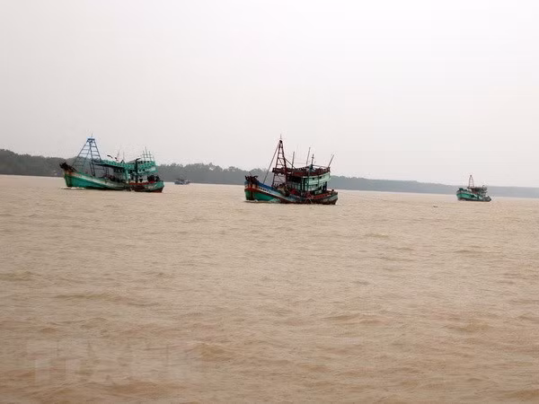 Hình thành vùng áp thấp trên vùng biển phía Bắc quần đảo Hoàng Sa ảnh 1