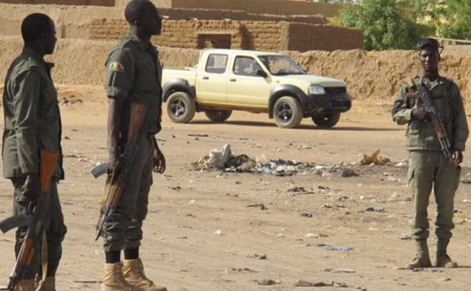 Mali kêu gọi LHQ tăng cường hỗ trợ chống khủng bố ở khu vực Sahel ảnh 1