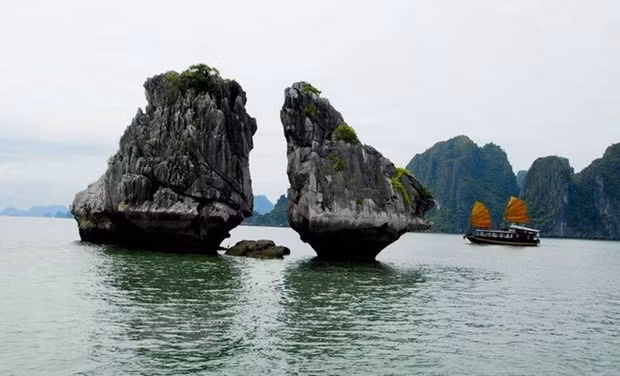 Bảo tồn Hòn Trống Mái trên Vịnh Hạ Long tuân thủ Công ước Quốc tế ảnh 1