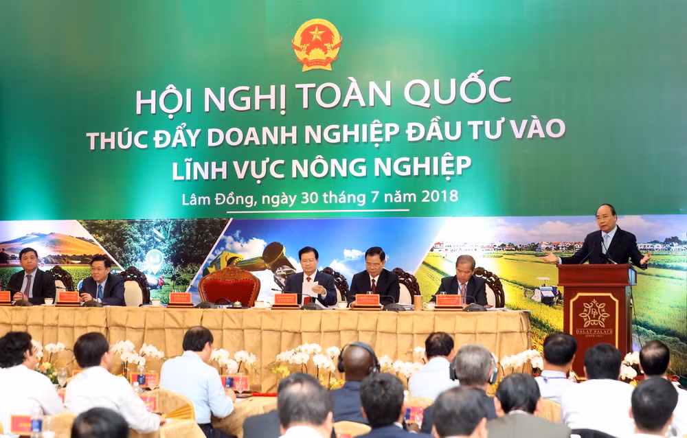 Đưa nông nghiệp Việt Nam vào top 15 nước phát triển nhất thế giới ảnh 2
