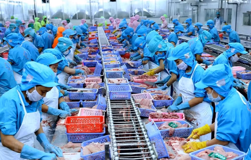 Kết nối doanh nghiệp Việt-Nhật trong lĩnh vực thủy sản, thực phẩm ảnh 1