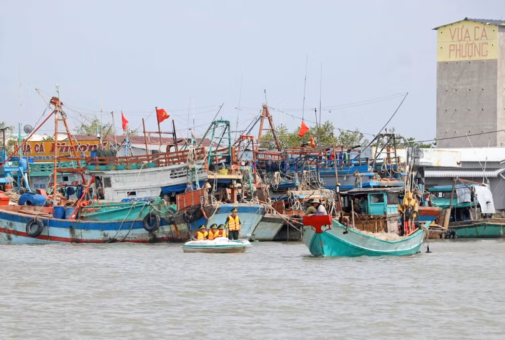 iuu_thuy san 3.jpg