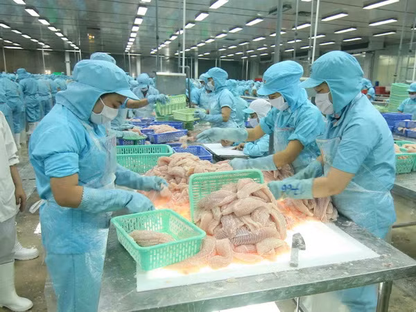 Nhu cầu tiêu thụ thủy sản được dự báo sẽ hồi phục mạnh mẽ ảnh 2