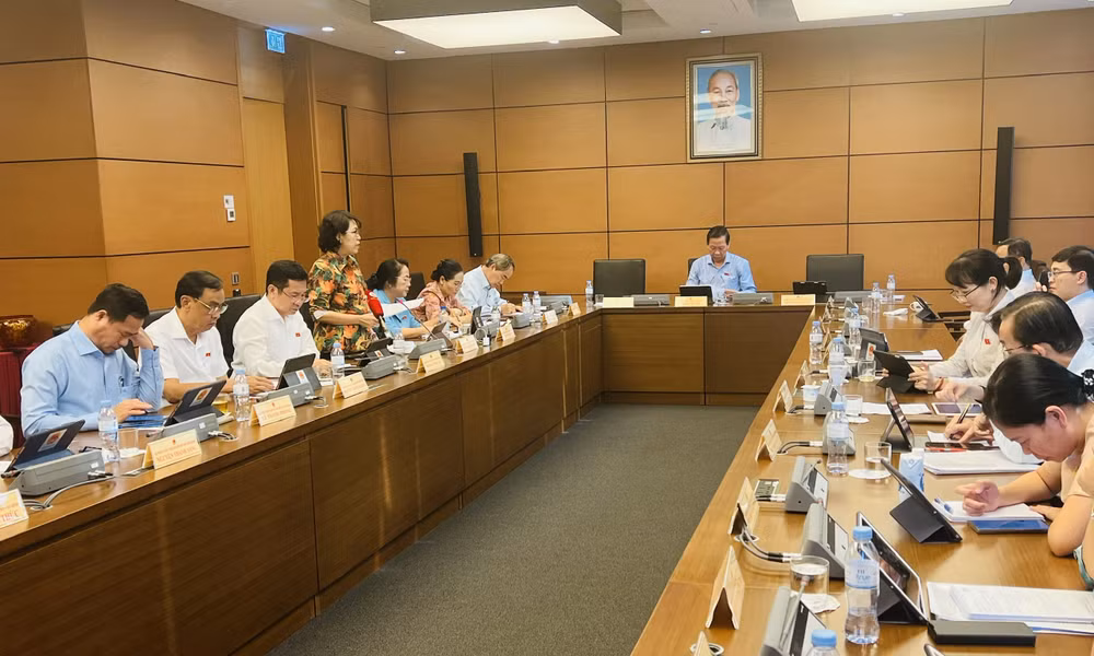 Cơ chế đặc thù giúp "đầu tàu" TP Hồ Chí Minh đi trước, hành động trước ảnh 2