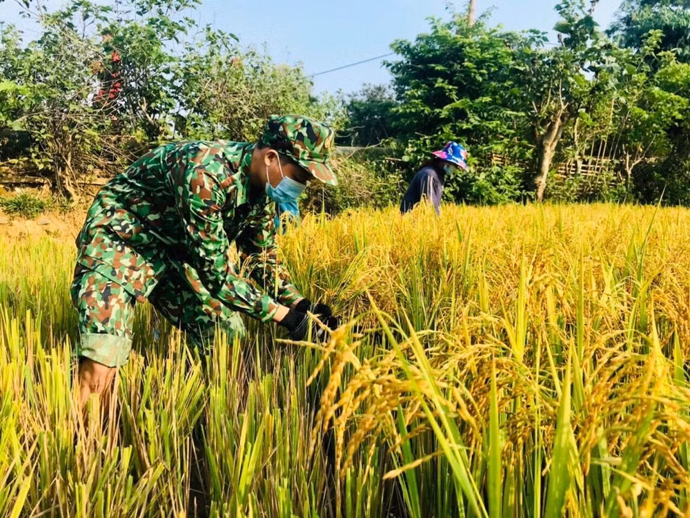Lính biên phòng bảo vệ vùng biên: Đồn là nhà, biên giới là quê hương ảnh 3