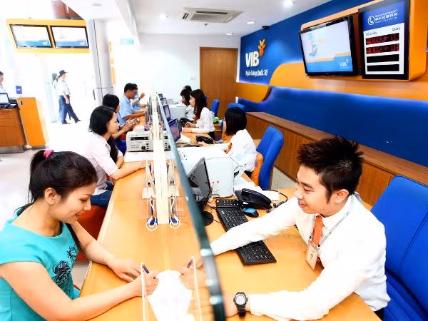 Năm 2021: Ngân hàng VIB dự kiến chia cổ phiếu thưởng 40% ảnh 1