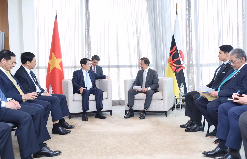 ttxvn_chu_tich_nuoc_luong_cuong_gap_quoc_vuong_brunei_hassanal_bolkiah_4.jpg