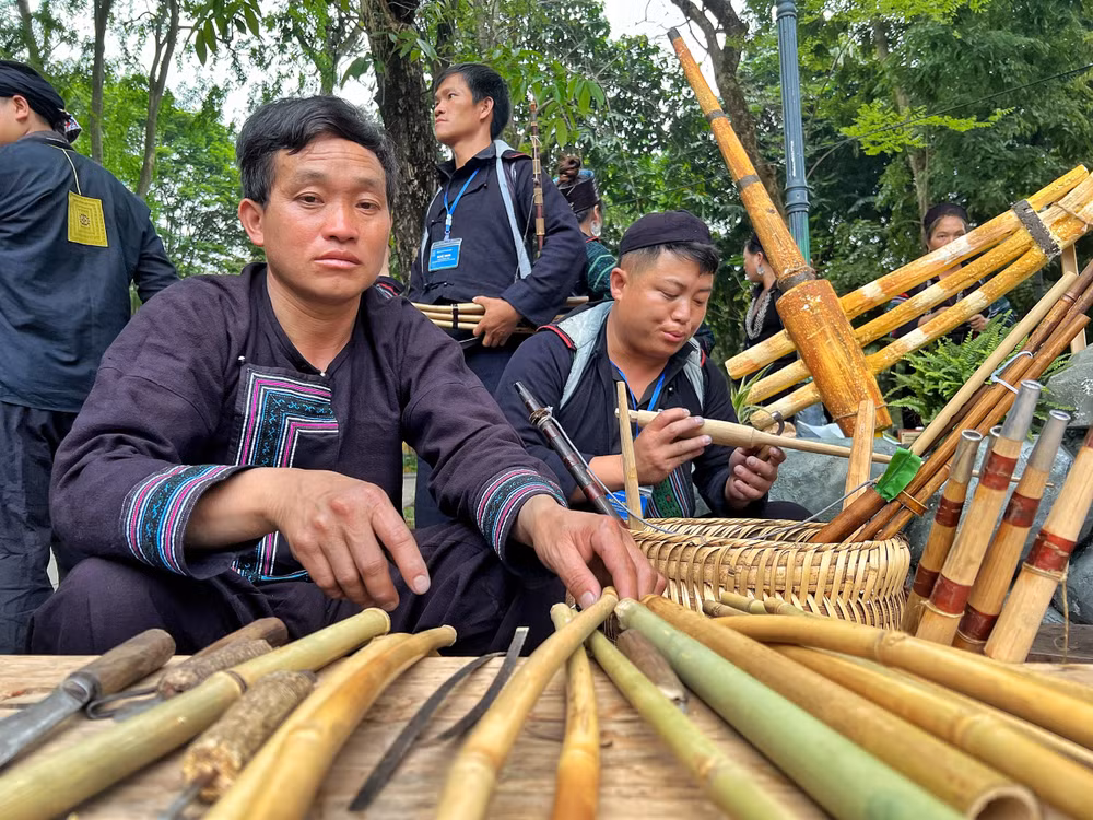 sapa_6.jpg